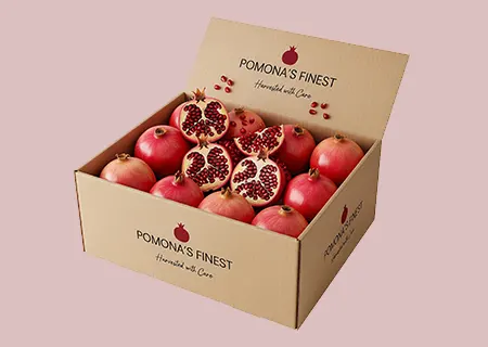 Navis Orbis – reliable Indian pomegranate supplier with farm-fresh Bhagwa pomegranates
