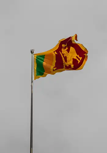 Pomegranate Export to Shri Lanka