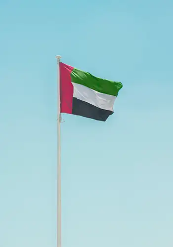 Indian Pomegranate Export to UAE