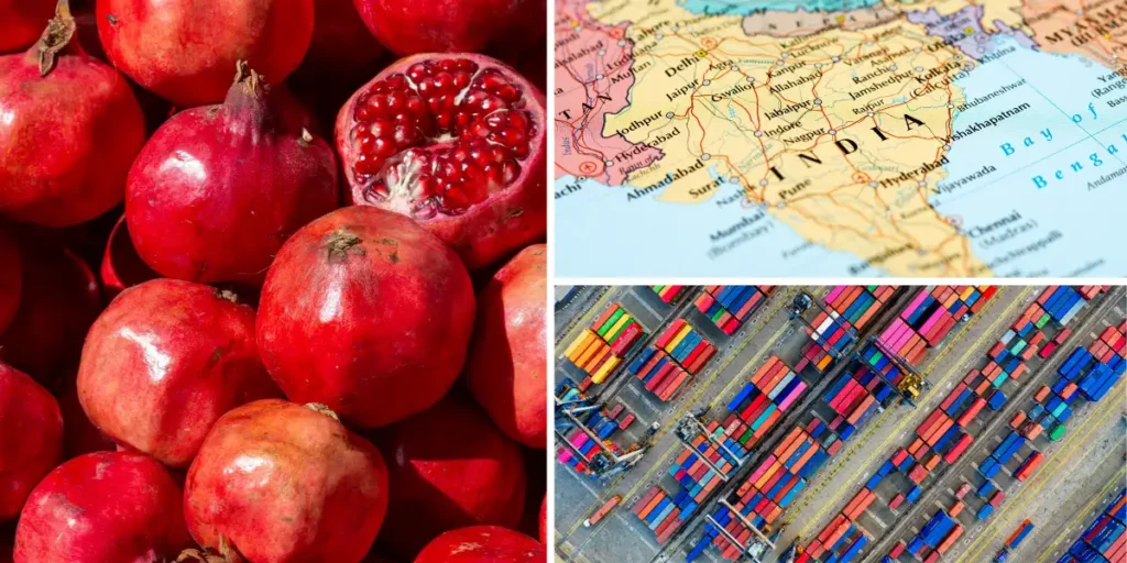 Pomegranate Exporter from India