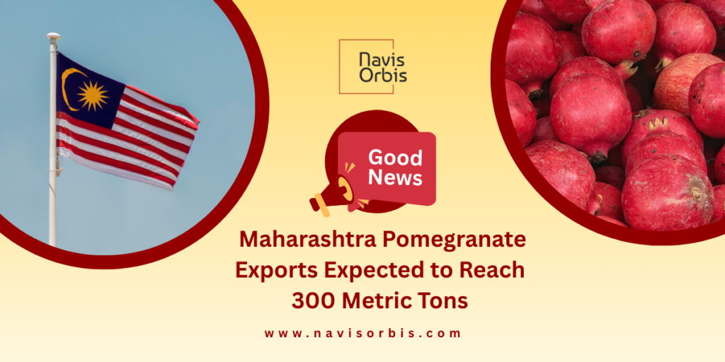 Indian pomegranate exports