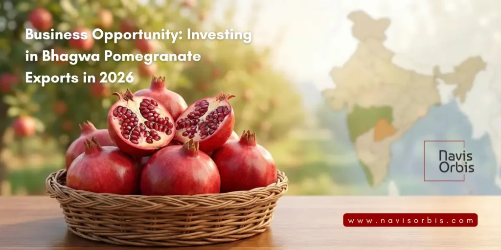Bhagwa Pomegranate Export from India by Navis Orbis