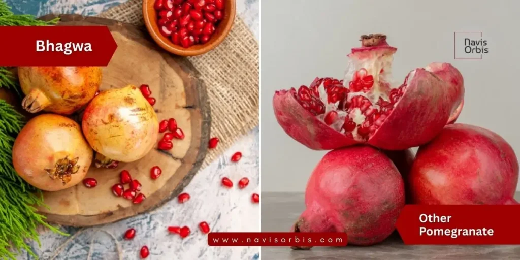 Comparison of Bhagwa vs other pomegranate varieties for export quality