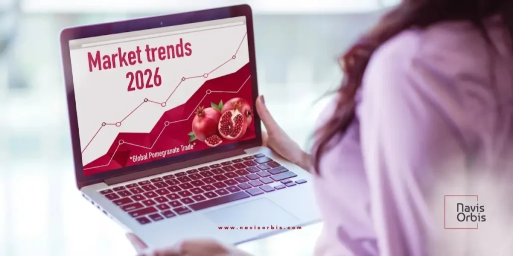 Export market trends for Indian Pomegranate Exporter showing global demand and fruit trade