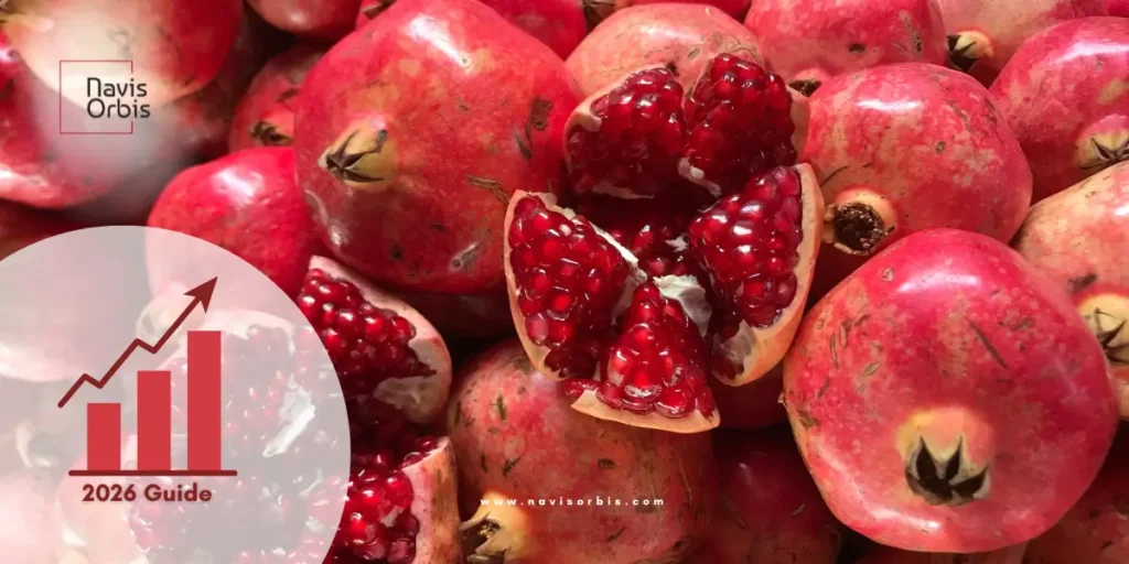 Fresh Indian pomegranates ready for export showing premium quality for profitable import business