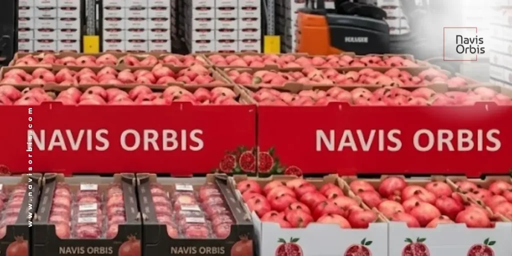 Fresh export-quality pomegranates packed in ventilated cartons for international shipping by Navis Orbis.
