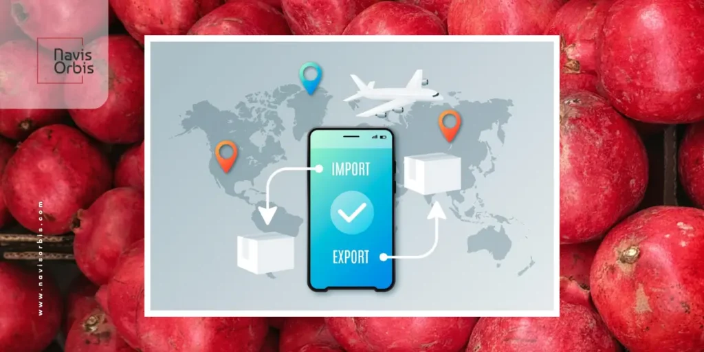 Common issues in pomegranate export including damage, spoilage, and packaging problems during shipping